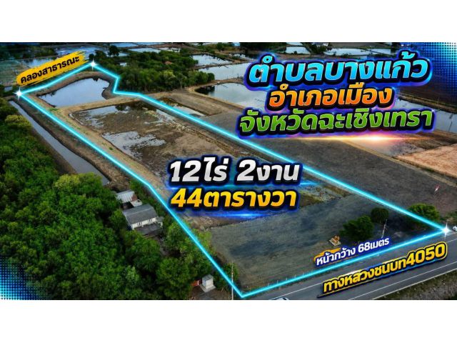 ขายที่ดินบางแก้ว 12 ไร่ ติดถนนเส้น4050 ใกล้วัดสมานรัตนาราม8กม. เมืองฉะเชิงเทรา