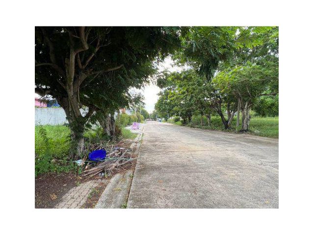 ขายที่ดิน 281 ตรว. หมู่บ้านกรีนวัลเล่ย์ บางนา-ตราด กม.15 ต.บางโฉลง อ.บางพลี สมุทรปราการ