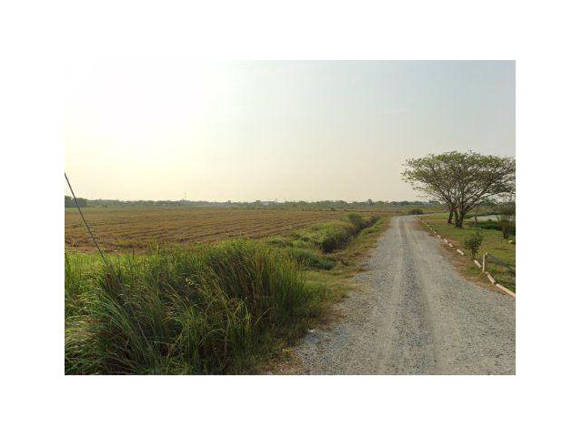 ขายที่ดิน 4 ไร่ ใกล้วัดดอนทราย ต.ดอนทราย อ.บ้านโพธิ์ จ.ฉะเชิงเทรา