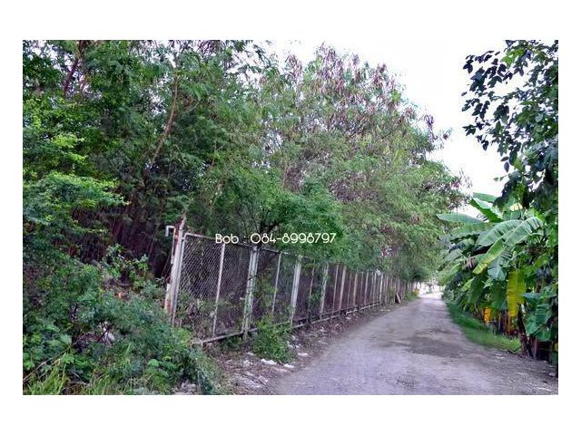 ขายด่วน! ที่ดินทำเลทอง 4 ไร่เศษ ติดถนนพหลโยธิน คลองหลวง (ผังสีส้ม)
