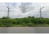 ขายที่ดิน 11 ไร่ 2 งาน 1 ตร.ว. ติดถนนเส้นพระประโทน-บ้านแพ้ว (375) ขาเข้านครปฐม