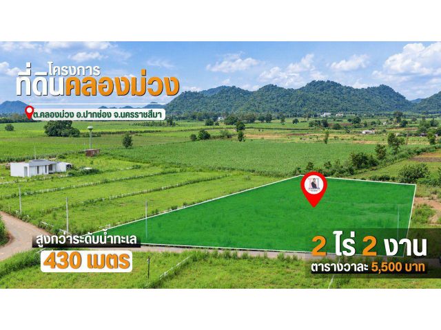 ที่ดินแปลงใหญ่ 2 ไร่ 2 งาน วิวเขา คลองม่วง ปากช่อง 5.5 ล้าน ขายยกแปลง ใกล้ถนน 3060