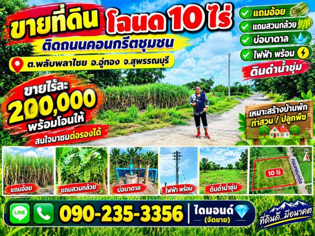 ขายที่ดินโฉนด10ไร่  สวนอ้อย สวนกล้วย ต.พลับพลาไชย อ.อู่ทอง จ.สุพรรณบุรี