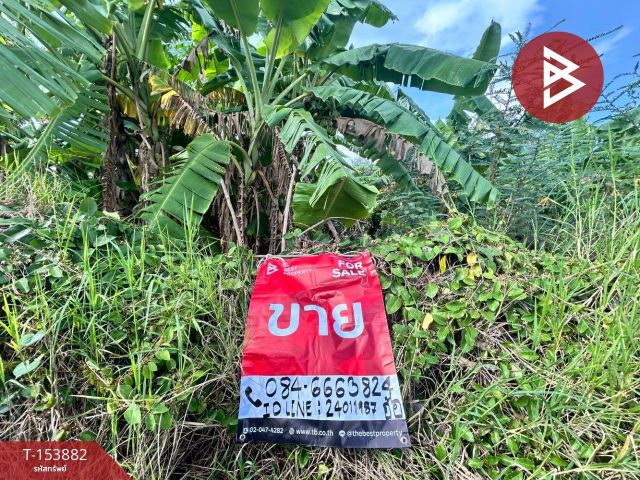 ขายที่ดิน เนื้อที่ 18 ไร่ 1 งาน 50.6 ตร.วา สีคิ้ว นครราชสีมา