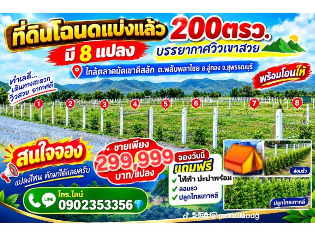 ขายที่ดินแบ่งแยกแล้ว 200ตรว ต.พลับพลาไชย อ.อู่ทอง จ.สุพรรณบุรี