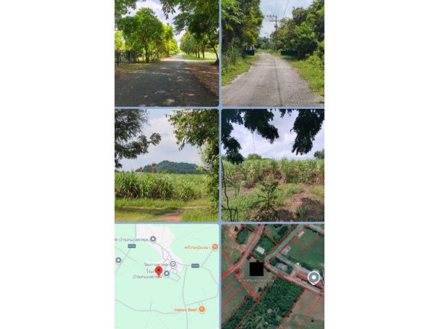 ที่ดินสูงน้ำไม่ท่วม