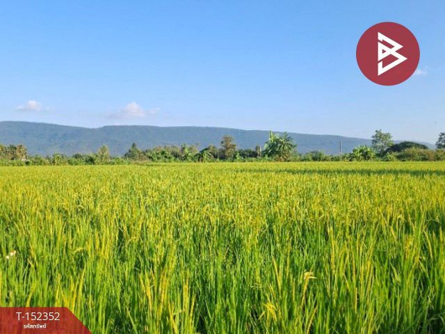 ขายที่ดินที่นา เนื้อที่ 6 ไร่ 78 ตร.วา พาน เชียงราย