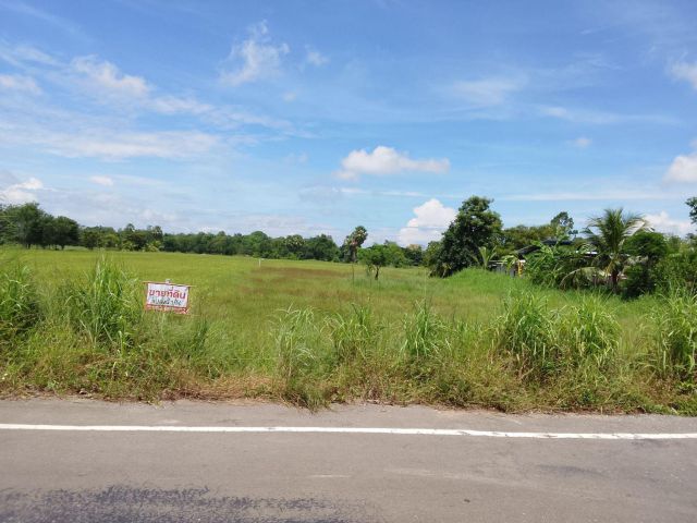 ขายที่ดิน 1 ไร่ อ.หนองขาหย่าง อุทัยธานี