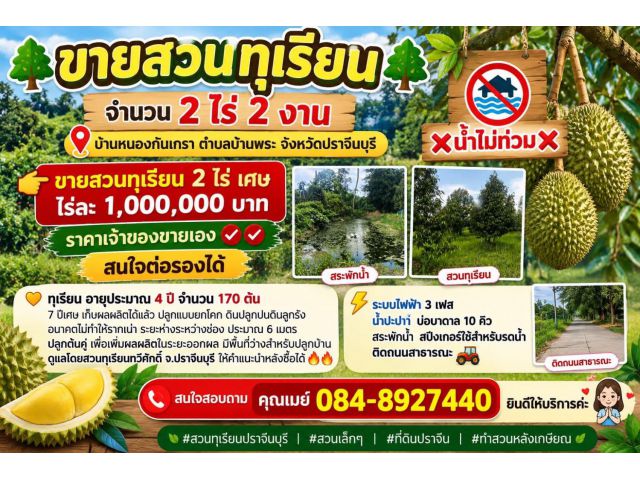 ขายสวนทุเรียน จำนวน 2 ไร่ 2 งาน บ้านหนองกันเกรา ตำบลบ้านพระ จังหวัดปราจีนบุรี   น้ำไม่ท่วม
