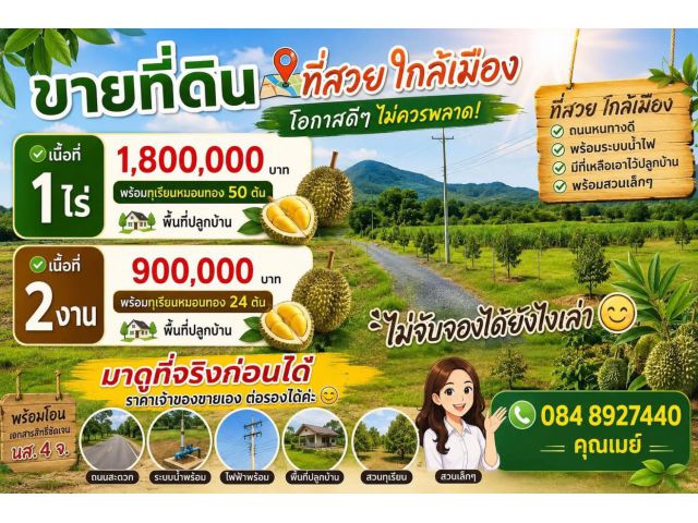 ขายที่สวนน้ำไม่ท่วม สวนทุเรียนหมอนทอวในเมือง ดินดี อากาศดี