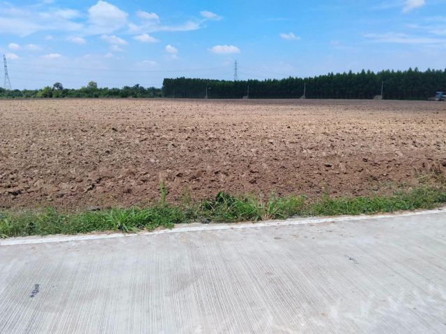 ขายที่ดินหนองอิรุณชลบุรี 55 ไร่