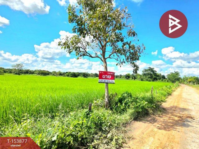 ขายที่ดินดอนงัว เนื้อที่ 4 ไร่ 3 งาน8.2 ตร.วา บรบือ มหาสารคาม