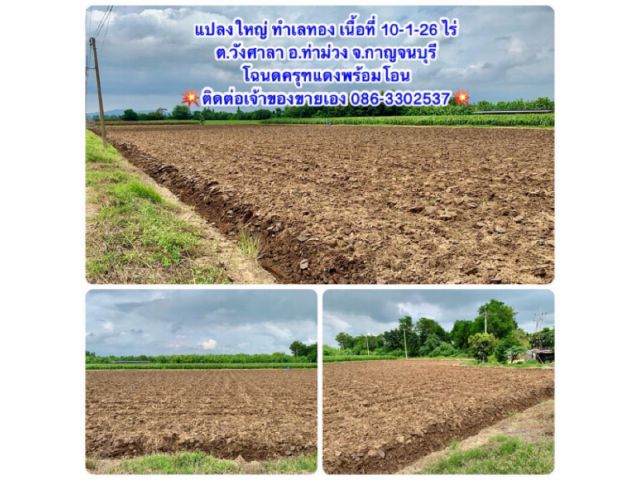 ที่ดินผืนใหญ่ทำเลดี10ไร่ โฉนดครุฑแดงพร้อมโอน ใกล้เทศบาลวังศาลา ท่าม่วง เข้าออกได้หลายทาง ติดถนนสาธารณะ ใกล้ทางด่วนM81