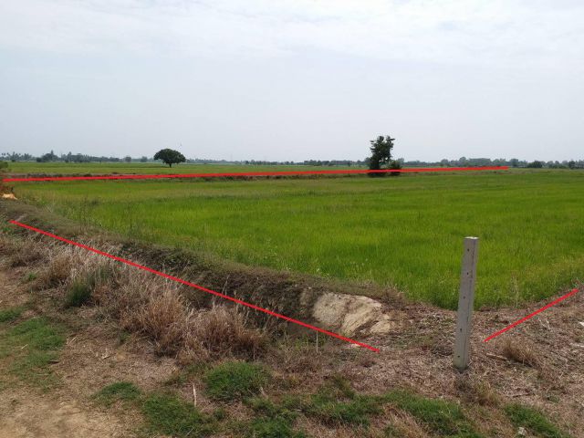 ขายที่ดินกำแพงแสน 7 ไร่ 2งาน (น้ำไม่ท่วม)