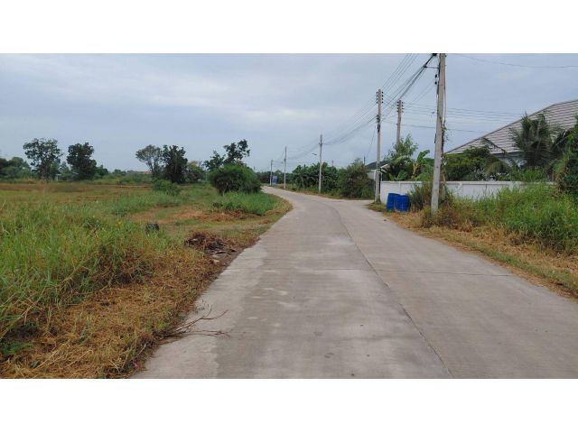 ขายที่ดินหนองหงษ์ 24 ไร่ ติดถนน3ด้าน ใกล้นิคมอมตะ10กม. อ.พานทอง จ.ชลบุรี