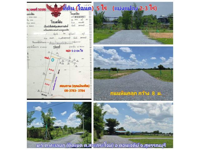 (โฉนด) แบ่ง 2-3 ไร่ๆละ 220,000 บ.(ห่างทางหลวง 333 ถนน 4 เลน 1.8 กม.) ถนนหินคลุก ไฟฟ้า น้ำประปา ม.5 ต.ทะเลบก (ติตเขต ต.สระกระโจม) อ.ดอนเจดีย์ จ.สุพรรณฯ