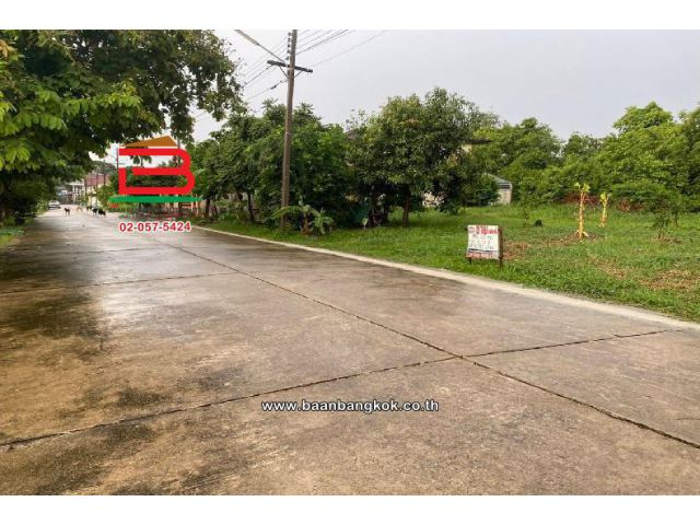 ที่ดินเปล่า เมืองเอก ซอยเอกบูรพา 8 แยก 3 เนื้อที่ 100 ตร.ว. ทำเลดี ใกล้มหาวิทยาลัยรังสิต ถนนพหลโยธิน ตำบลหลักหก อำเภอเมืองปทุมธานี ปทุมธานี
