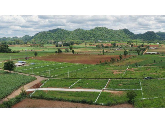 ที่ดินวิวเขา 164 ตร.ว. คลองม่วง ปากช่อง 1.23 ล้าน สูง 430 ม. น้ำไฟพร้อม ฟรีค่าโอน