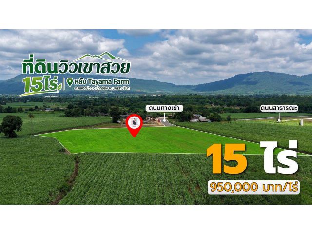 ที่ดิน 15 ไร่ ยกแปลง วิวเขา หลัง Tayama Farm คลองม่วง ปากช่อง ไร่ละ 950,000