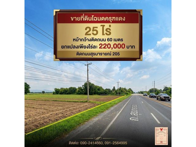 ขายครุฑแดง 25 ไร่ หน้ากว้าง 60 ม. ติดถนนสุรนารายณ์ ไฟฟ้า 3 เฟสครบ เหมาะสร้างโรงงาน-คลังสินค้า