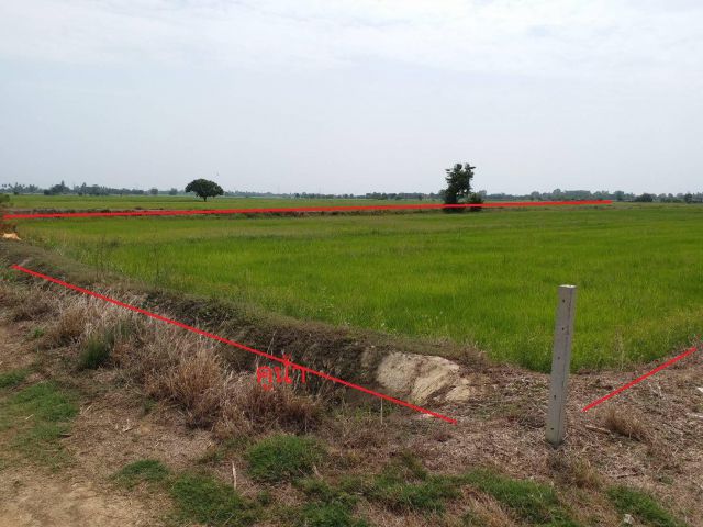 ขายที่ดินกำแพงแสน 7 ไร่ 2งาน (น้ำไม่ท่วม)