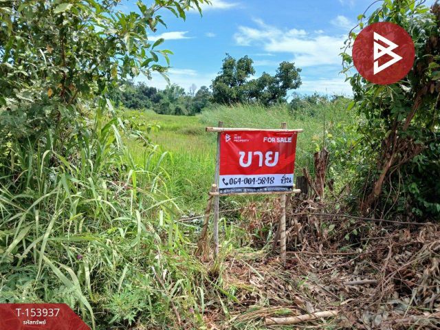 ขายที่ดิน เนื้อที่ 23 ไร่ 53 ตร.วา หนองญาติ นครพนม