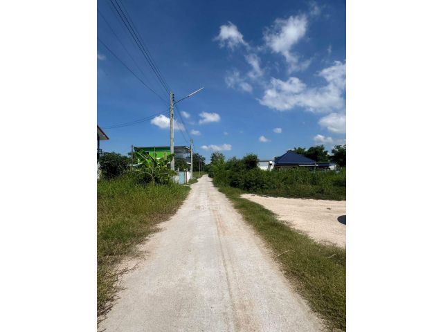 ขายที่ดินหนองหงษ์ ถมแล้ว 265 ตรว.ซอยโป่งตามุข ใกล้นิคมอมตะ-6กม. อ.พานทอง ชลบุรี