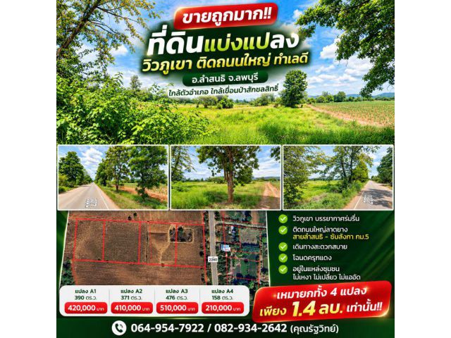 ขายถูกมาก!! ที่ดินแบ่งแปลงวิวภูเขา ติดถนนใหญ่ ทำเลดี อ.ลำสนธิ จ.ลพบุรี ใกล้ตัวอำเภอ ใกล้เขื่อนป่าสักชลสิทธิ์