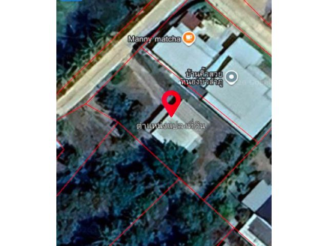 ขาย ที่ดิน 195 ตารางวา ต.หนองบัว อ.เมือง จ.หนองบัวลำภู