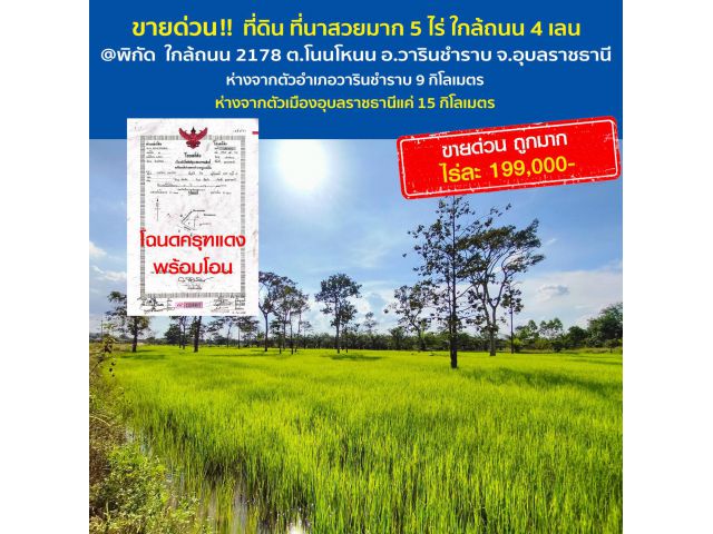 ขายด่วน!! ที่ดิน ที่นา 5 ไร่ ทำเลสวยงาม ใกล้ถนน 4 เลนแค่ 2 กิโลเมตร (ถนน 2178) พิกัดบ้านโนนโหนน อ.วารินชำราบ จ.อุบลราชธา