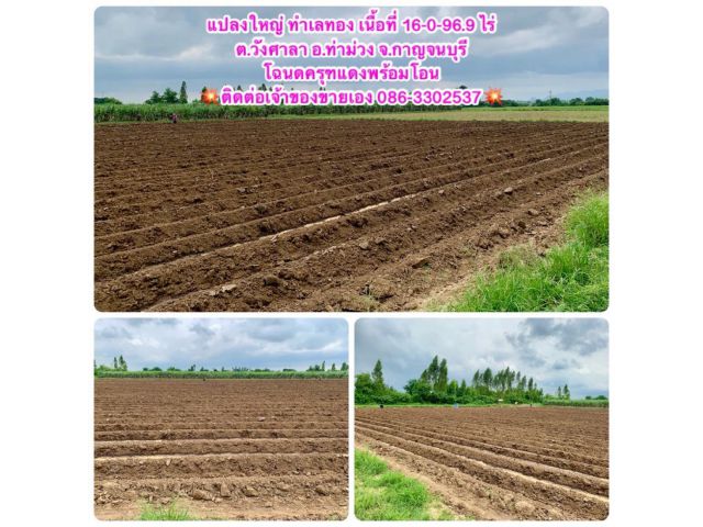 ที่ดินทำเลทองผืนใหญ่16ไร่ วังศาลา ท่าม่วง แปลงสวย ทำเลดี แหล่งชุมชน ใกล้ทางด่วนM81 จากกรุงเทพเพียง1ชม. คมนาคมสะดวก
