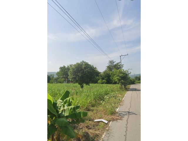 ขายที่ดินโฉนดแปลงสวย 8 ไร่เศษ ต.ภูกระดึง อ.ภูกระดึง จ.เลย ใกล้อุทยานแห่งชาติภูกระดึง