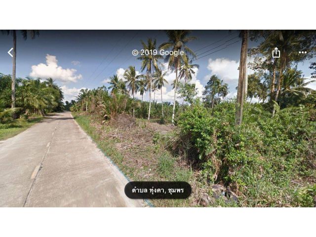 ขายที่ดิน 70 ไร่ ต.ทุ่งคา อ.เมือง จ.ชุมพร