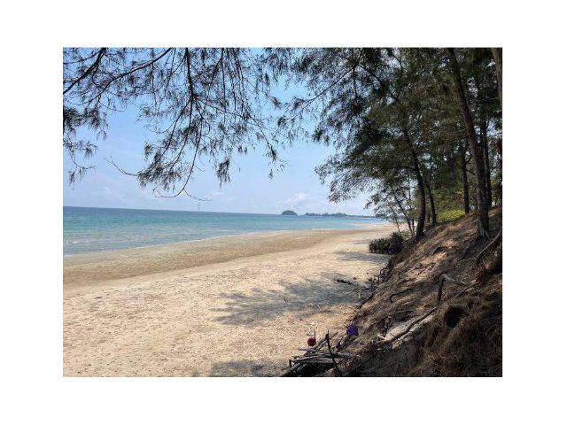 ขายที่ดิน 10 ไร่ ติดชายทะเล ต.แม่รำพึง อ.บางสะพาน ประจวบคีรีขันธ์