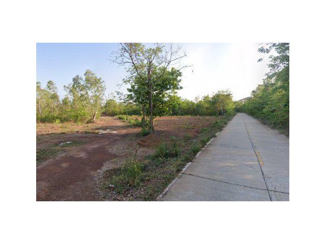 ขายที่ดิน 22 ไร่ ใกล้มหาวิทยาลัยเกษตรศาสตร์ ถมแล้ว ต.เชียงเครือ อ.เมืองสกลนคร จ.สกลนคร