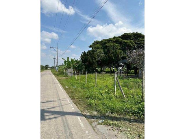 ขายที่ดิน 5ไร่ 41 ตรว แถวบ้านถวาย อ.หางดง จังหวัดเชียงใหม่