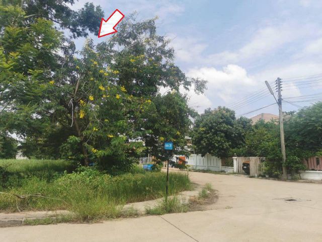 ที่ดินราคาถูก ขายที่ดินแปลงมุม 81 ตร.ว เหมาะสำหรับปลูกสร้างบ้าน ในโครงการหมู่บ้านเดอะลากูน1 อำเภอสามโคก จังหวัดปท