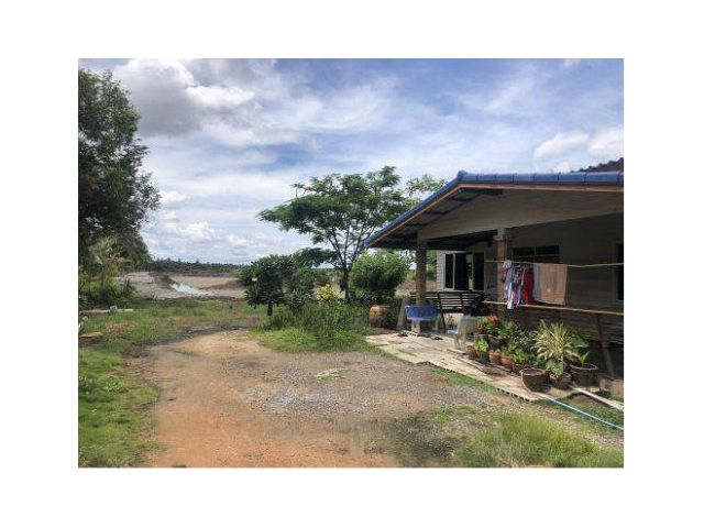 ขายที่ดิน 24 ไร่ ต.บางครก อ.บ้านแหลม จ.เพชรบุรี