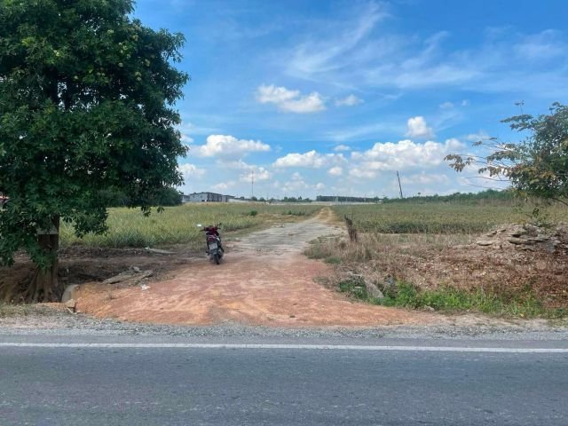 ขายที่ดิน 16-3-27ไร่ นิคมพัฒนา ระยอง พื้นที่สีส้ม ใกล้นิคม WHA ระยอง36