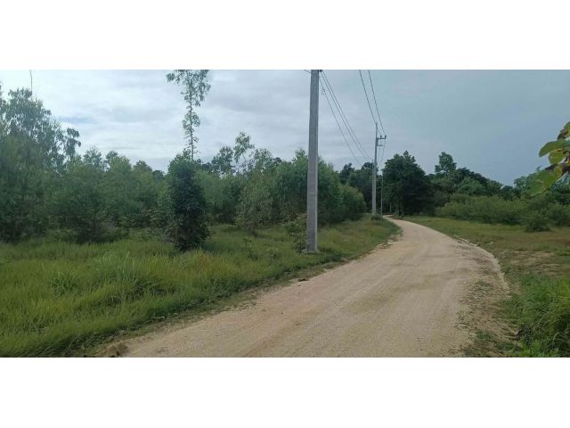 ขายที่ดิน เมืองตาก 35 ไร่