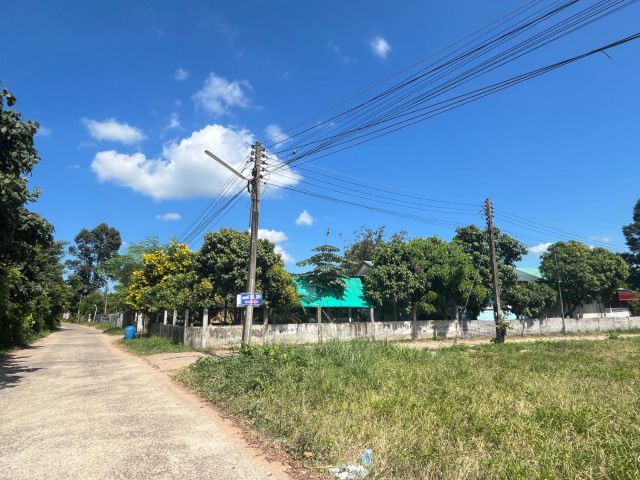 ขายที่ดินแปลงสวย ทำเลแปลงมุม! ติดชุมชน บ้านตาดทอง ยโสธร เหมาะสร้างบ้านพักอาศัย (ราคาต่อรองได้)