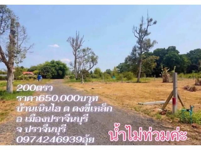 ขายที่ดิน200ตรวราคา650,000บาทบ้านเนินไฮ ต ดงขี้เหล็ก อ เมืองปราจีนบุรี จ ปราจีนบุรี