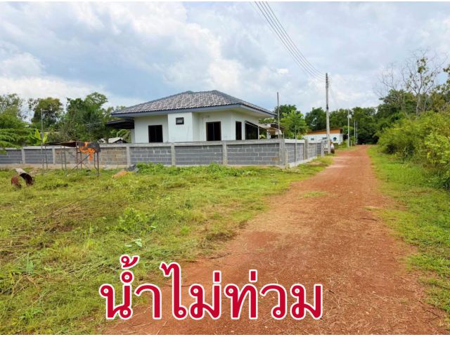 ขายที่ดิน80ตรวราคา290,000บาท ต กบินทร์ อ กบินทร์บุรี จ ปราจีนบุรีใกล้อำเภอกบินทร์บุรี