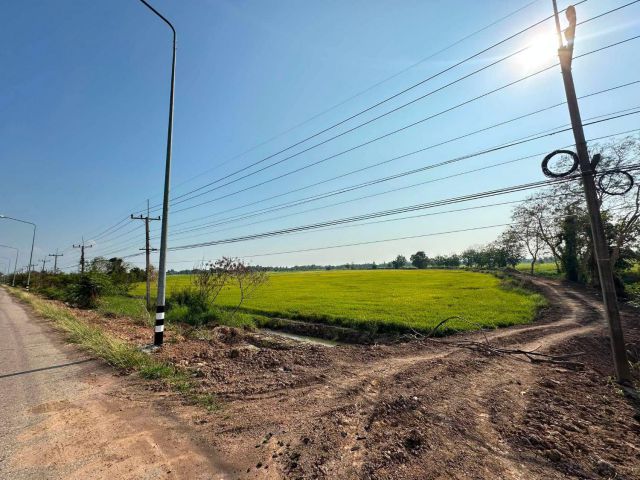 ขายที่ดิน 25 ไร่ เมืองพิจิตร