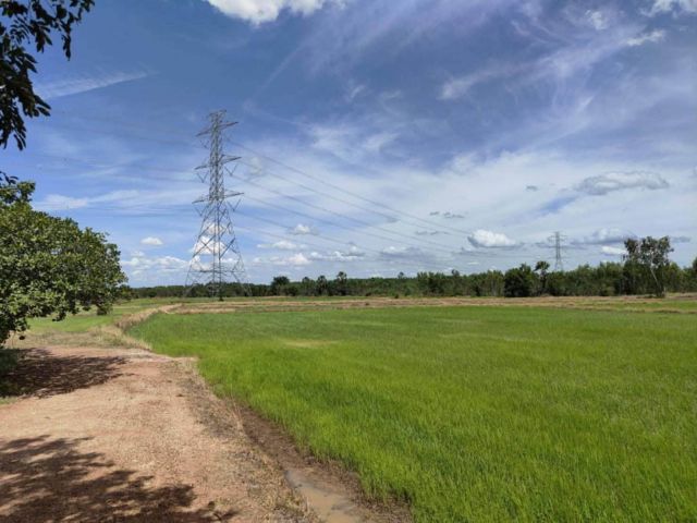 ขายที่ดิน 40 ไร่ ท่าตะโก นครสวรรค์