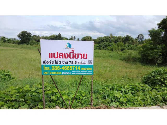 ขายที่ดิน 3 ไร่ 3 งาน 78.5 ตรว.