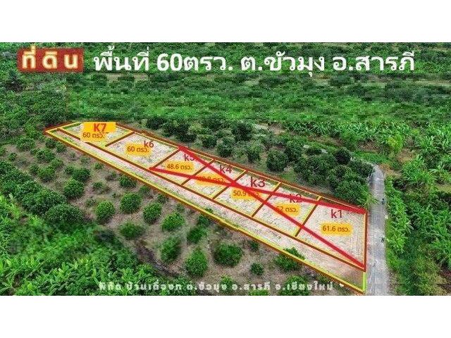 ขายที่ดิน 60ว. 294ส. ใกล้วัดขัวมุง ขัวมุง สารภี เชียงใหม่