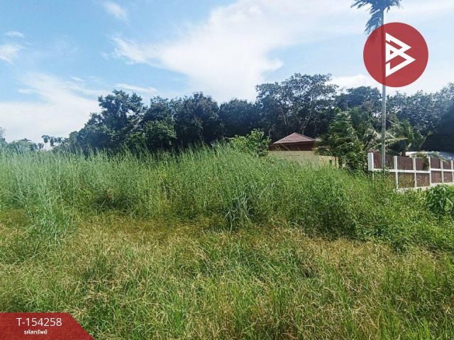 ขายที่ดิน เนื้อที่ 55.8 ตร.วา แสลง จันทบุรี