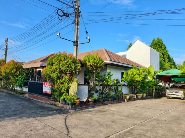 บ้านเดี่ยว บ้านสวน 11 ซอย 3 สุดคุ้มพร้อมเฟอร์ +ตกแต่ง