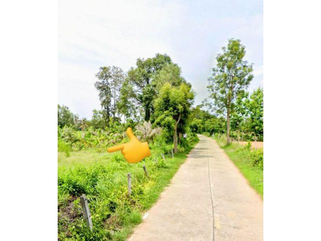 ทึ่ดินอยู่อาศัย ทำเลดี บรรยากาศดี อ.นางรอง บุรีรัมย์